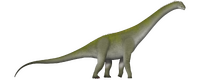 Chucarosaurus TD.png