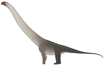 Tongnanlong zhimingi.png