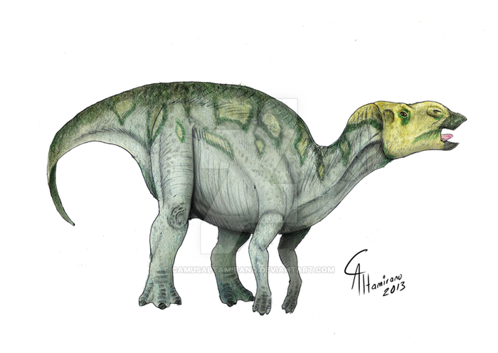 Hadrosaurus – Encyklopedia Dinozaury.com