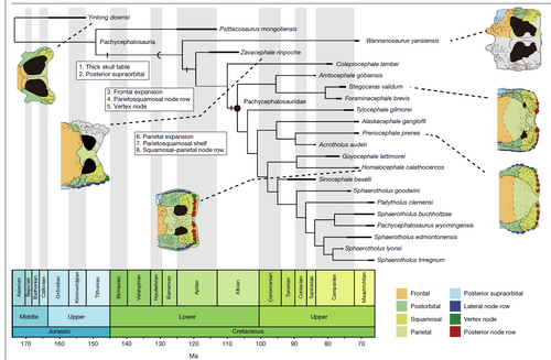 Chizorig et al 2025.png