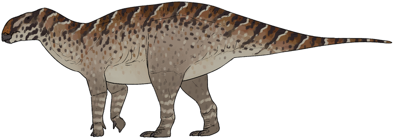 Plik:Qianjiangsaurus changshengi.png