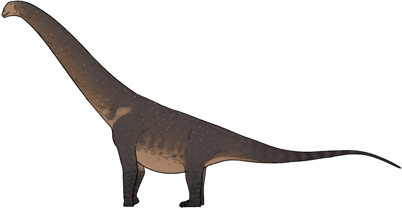 Plik:Uriash kadici.png