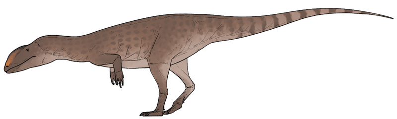 Plik:Newtonsaurus cambrensis.png