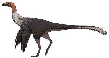 Mexidracon longimanus.png