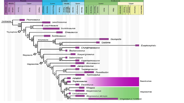 Zafaty et al 2024.png
