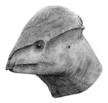 Amtocephale LM.png