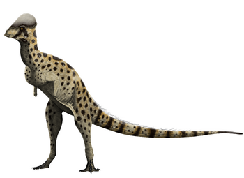 Colepiocephale lambei.png