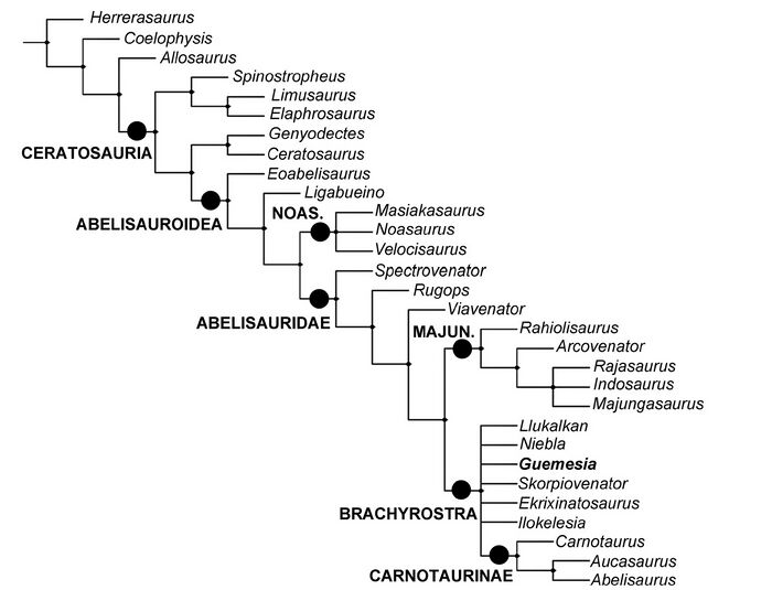 Agnolin et al 2022.jpg