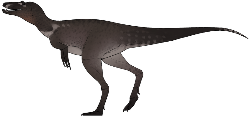 Plik:Nanotyrannus lethaeus.png