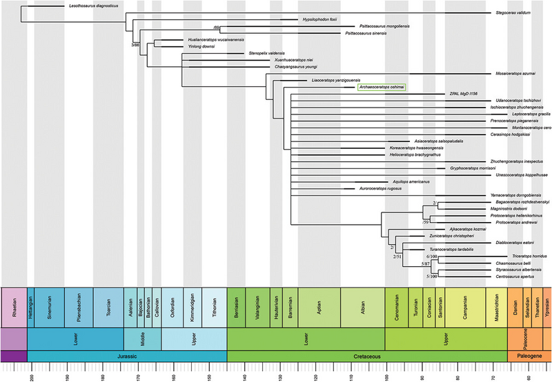 Wang i in., 2025.png