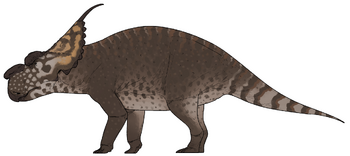 Achelousaurus horneri.png