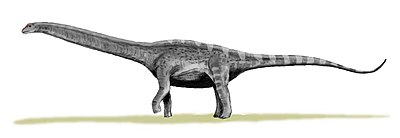Argentinosaurus BW.jpg