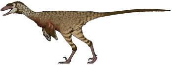 Dinevenator robustus.png