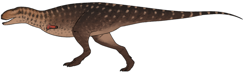 Plik:Vitosaura colozacani.png