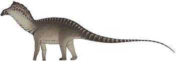 Bajadasaurus pronuspinax.png