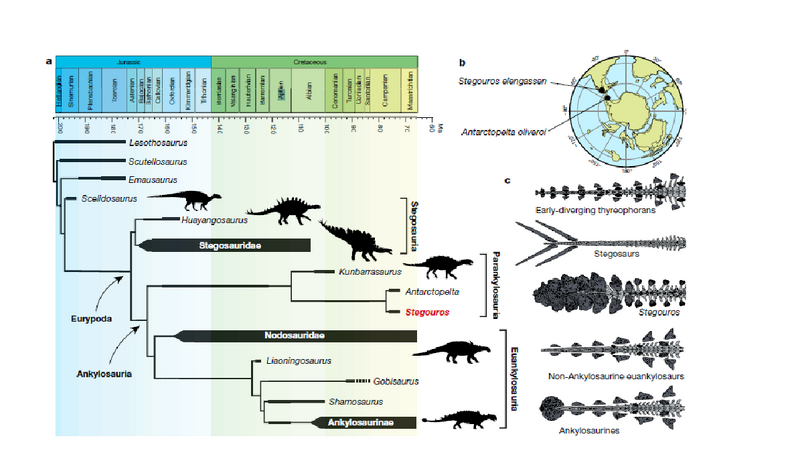 Plik:Soto-Acuna et al 2021.png