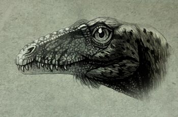 Tachiraptor admirabilis by malvit.jpg