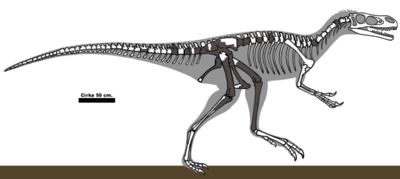 Stokesosaurus langhami remains 01.png