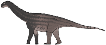 Huashanosaurus qini.png