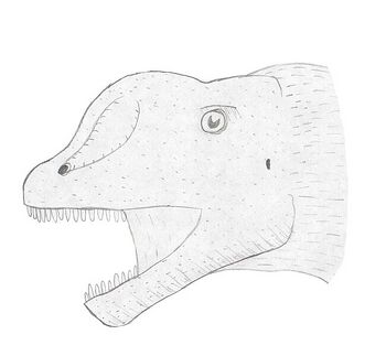 Chebsaurus.rec.jpg