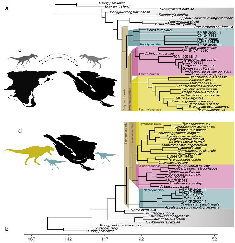 Zanno&Napoli 2025.png
