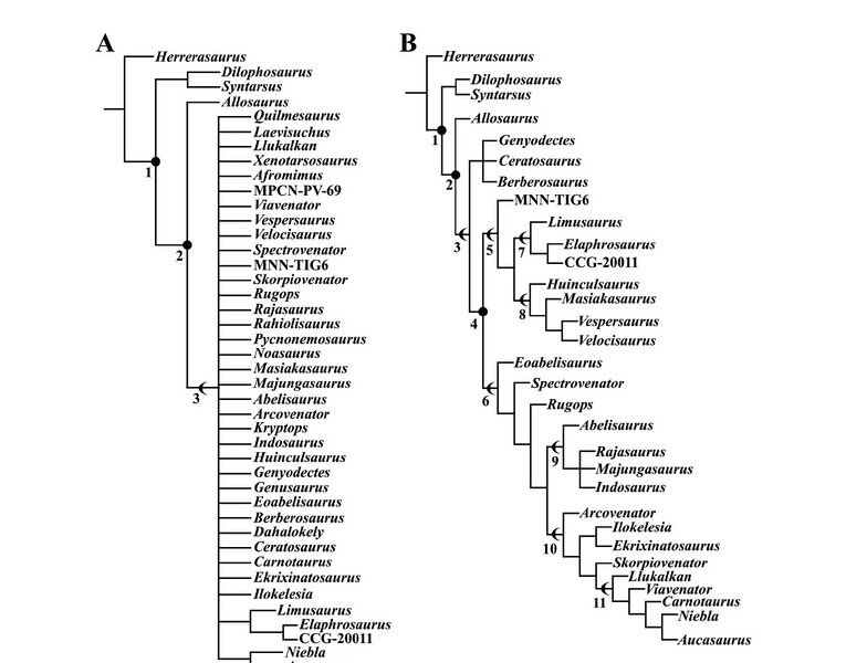 Plik:Cerroni et al 2022.jpg
