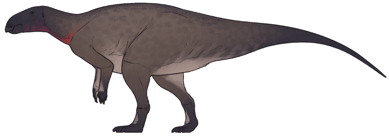 Plik:Emiliasaura alessandrii.png