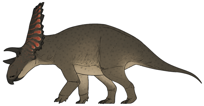 Plik:Cryptarcus russelli.png