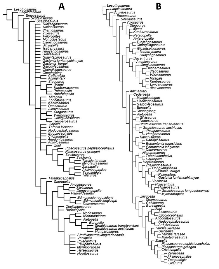 Agnolin et al 2026.jpg