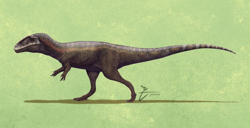 Plik:Lajasvenator ascheriae Wikipedia Juandertal.jpg